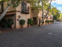 this is an image of a nice house with trees and plants in pots on the driveway