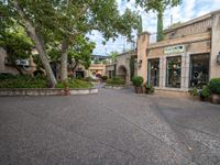 a paved shopping area with trees and flowers next to a shopfront and walkway lined with shrubs and potted flowers