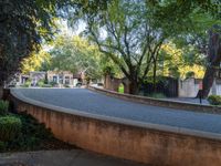 a long curved wall is between two trees and plants on a brick road in a residential area