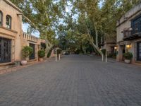 an empty street with cobblestone streets and large trees around it as well as large buildings