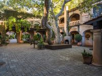 several trees are in pots on the brick patio under an archways with plants and stone pillars