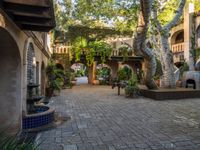 several trees are in pots on the brick patio under an archways with plants and stone pillars