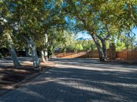 the walkway near the gate is lined with trees and stone paving with a gate in front of it