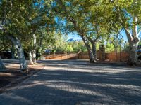 the walkway near the gate is lined with trees and stone paving with a gate in front of it