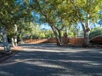 the walkway near the gate is lined with trees and stone paving with a gate in front of it