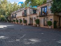 the paved courtyard is lined with potted plants and potted trees in a residential area