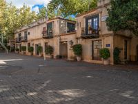 the paved courtyard is lined with potted plants and potted trees in a residential area