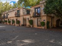 the paved courtyard is lined with potted plants and potted trees in a residential area