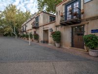 the paved courtyard is lined with potted plants and potted trees in a residential area