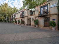 the paved courtyard is lined with potted plants and potted trees in a residential area