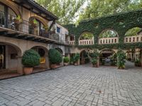 a courtyard with plants surrounding it and many bushes on either side of the entryway