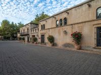 an image of the back of a building with pots in it and red flowers in the courtyard