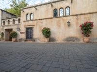 an image of the back of a building with pots in it and red flowers in the courtyard