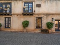 two plants are planted in front of a building with windows, pots and signs on the sides