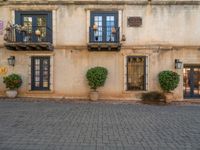 two plants are planted in front of a building with windows, pots and signs on the sides