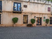 two plants are planted in front of a building with windows, pots and signs on the sides