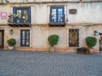 two plants are planted in front of a building with windows, pots and signs on the sides