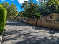 a view from the street of trees on the road near a sidewalk with a small gate