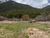 an image of a field that has snow on the mountain top in the background and a stream running through the forest