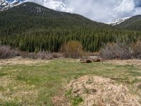 an image of a field that has snow on the mountain top in the background and a stream running through the forest