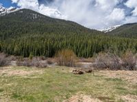 an image of a field that has snow on the mountain top in the background and a stream running through the forest