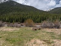 an image of a field that has snow on the mountain top in the background and a stream running through the forest