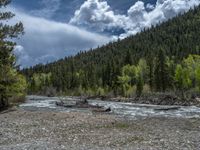 a forest is seen in this wide angle view in this photo from the bottom of the trail