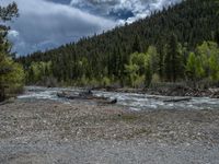 a forest is seen in this wide angle view in this photo from the bottom of the trail