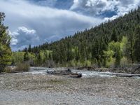 a forest is seen in this wide angle view in this photo from the bottom of the trail