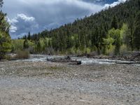 a forest is seen in this wide angle view in this photo from the bottom of the trail