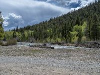 a forest is seen in this wide angle view in this photo from the bottom of the trail