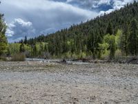 a forest is seen in this wide angle view in this photo from the bottom of the trail