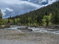 a forest is seen in this wide angle view in this photo from the bottom of the trail