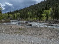 a forest is seen in this wide angle view in this photo from the bottom of the trail