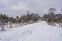 Serene Dawn Over Canadian Landscape in Ontario - 001