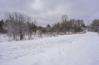 Serene Dawn in Canadian Landscape, Ontario 002