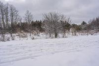 Serene Dawn in Canadian Landscape, Ontario 003