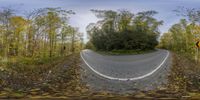 the photograph is taken of the curved road in front of a forest with no cars