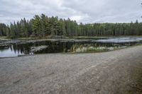 a lake is next to a wooded area with benches and trees on either side of it