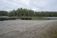 a lake is next to a wooded area with benches and trees on either side of it