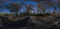 a long road is lined by trees and dirt with a bench on one side and a road in the other