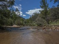 a river in the woods next to mountains with trees and water on the bank side