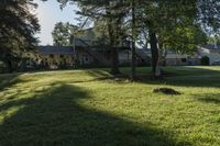 a brown dog stands in the middle of a grassy field with two trees and houses