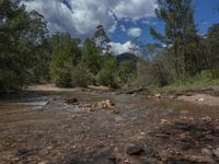 a wide river flowing over rocks with a forest in the background and the sky full of clouds