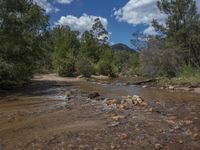 a wide river flowing over rocks with a forest in the background and the sky full of clouds