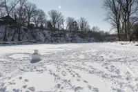 Serene Landscape in Rural Canada Winter