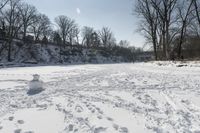 Serene Landscape in Rural Canada Winter 002