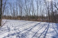 a person skiing down a snowy slope surrounded by trees and snow covered ground in winter