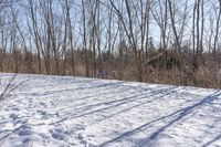 a person skiing down a snowy slope surrounded by trees and snow covered ground in winter