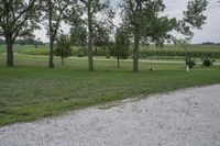 Serene Open Space in Bancroft, Iowa